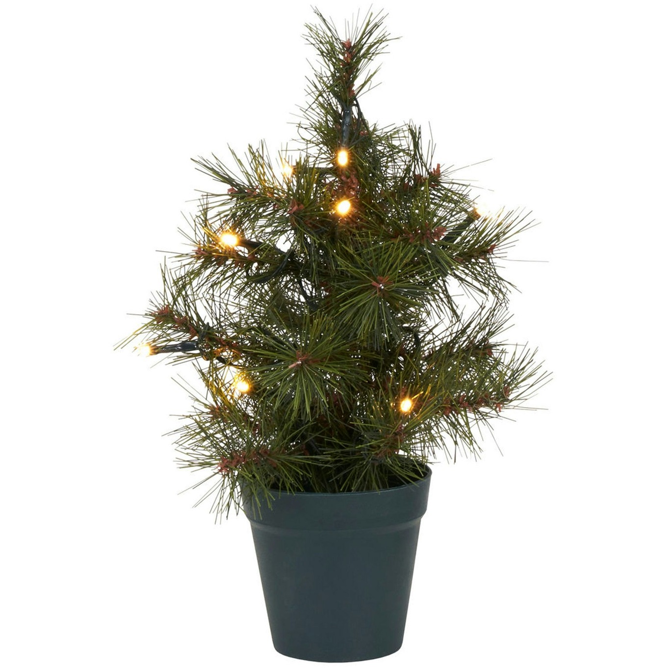 Pinus Joulukuusi Vihreä, 30 cm